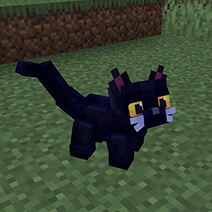 File:Black Cat.png