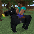 Midnight Steed - A luxurious black steed, often considered a point of pride and distinction by Tamrielic jockeys, cavalry, and couriers.