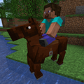 Sorrel Horse - A hardy, well-rounded beast suitable for riding and simple work. Unremarkable, but dependable.
